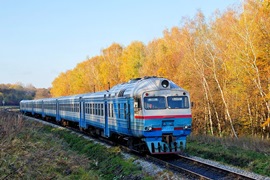 Кадр 2. Дизель-поезд ДР1А-330 на перегоне Запытов - Колодно, Львовская обл. Снимок сделан 31 октября 2012 г.